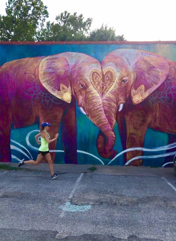 Elephants!